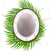 Kokosmelk